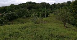 Finca 3 hectáreas en Bahía Ballena Osa de Puntarenas