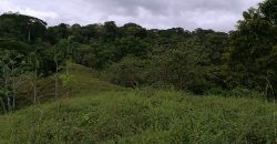 Finca 3 hectáreas en Bahía Ballena Osa de Puntarenas
