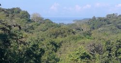 Finca de  15,5 hectáreas en las Brisas, Bahía, Ballena de Puntarenas