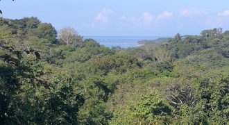 Finca de  15,5 hectáreas en las Brisas, Bahía, Ballena de Puntarenas