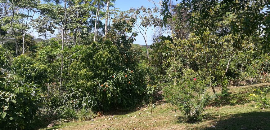 Finca de  5 hectáreas en el centro de Bahía Ballena de Puntarenas