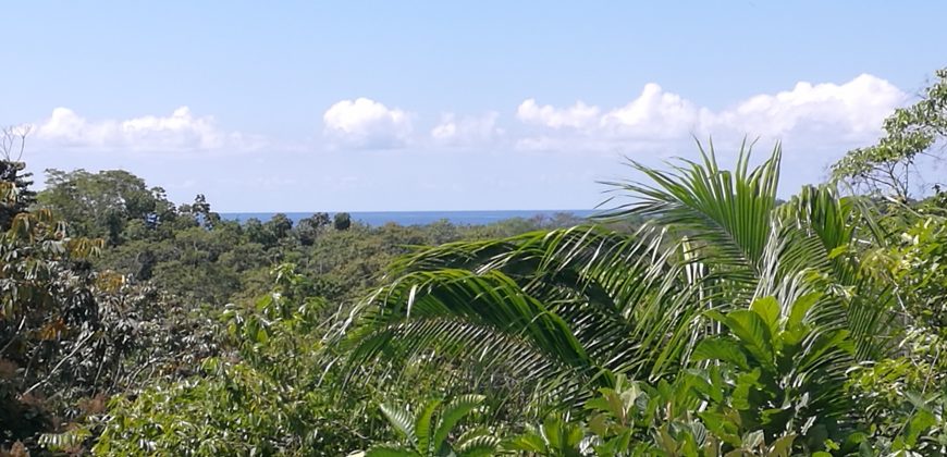 Finca de  5 hectáreas en el centro de Bahía Ballena de Puntarenas