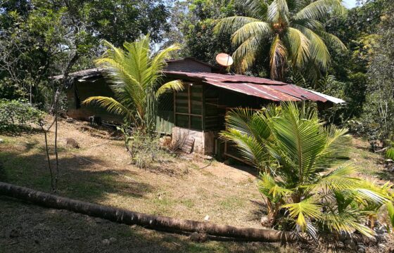 Finca de 15980 metros en Bahía Ballena de Puntarena
