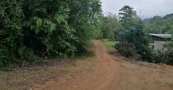 Finca  de 41 hectáreas en la Gloria, Savegre, Aguirre de Puntarenas