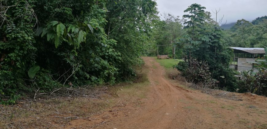 Finca  de 41 hectáreas en la Gloria, Savegre, Aguirre de Puntarenas