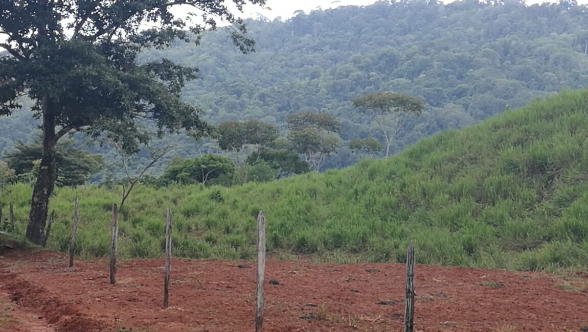Finca  de 41 hectáreas en la Gloria, Savegre, Aguirre de Puntarenas