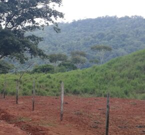 Finca  de 41 hectáreas en la Gloria, Savegre, Aguirre de Puntarenas