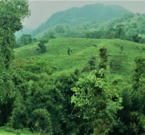 Finca de 1.152 Hectáreas en Coronado de San José.