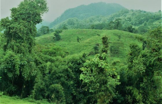 Finca de 1.152 Hectáreas en Coronado de San José.