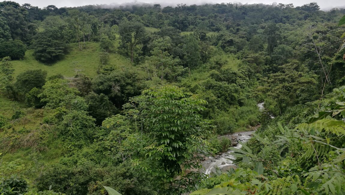 128 Hectáreas en Dos Bocas de Quepos, en Puntarenas