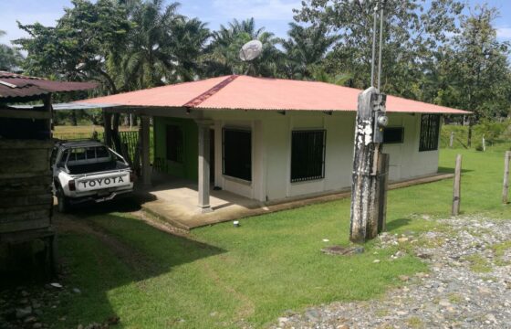 Finca de 9,3 hectáreas en chacarita Piedras Blancas de Osa de Puntarenas