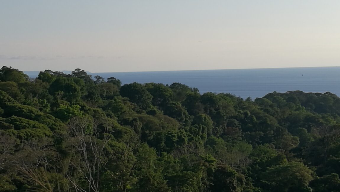 Finca de 15,5 Hectáreas en las Brisas, Bahía, Ballena, Uvita de Puntarenas