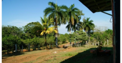 Finca de 742 Hectáreas en Santa Cecilia, la Cruz, Guanacaste