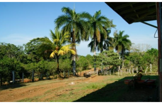 Finca de 742 Hectáreas en Santa Cecilia, la Cruz, Guanacaste