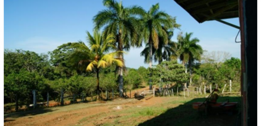 Finca de 742 Hectáreas en Santa Cecilia, la Cruz, Guanacaste