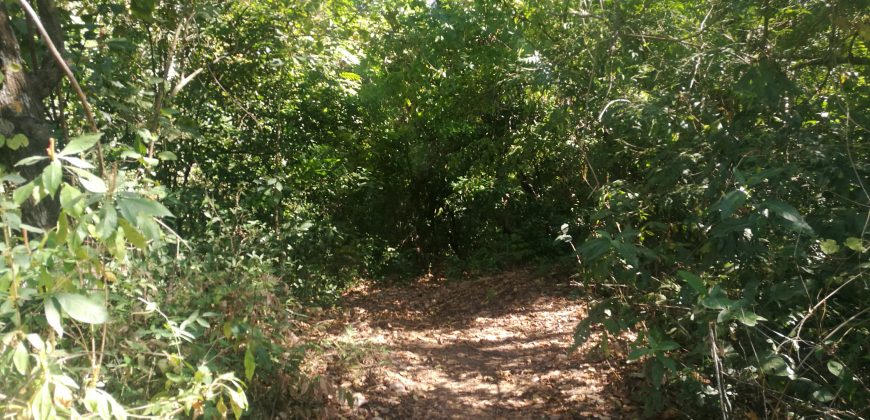 Finca de 2,5 hectareas en Belen, Carrillo, de Guanacaste