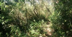 Finca de 2,5 hectareas en Belen, Carrillo, de Guanacaste
