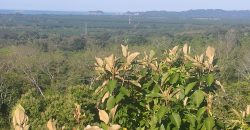 Finca de 60 hectáreas en Matapalo, Quepos de Puntarenas