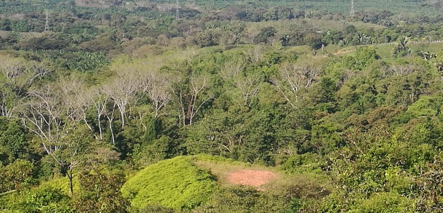 Finca de 60 hectáreas en Matapalo, Quepos de Puntarenas