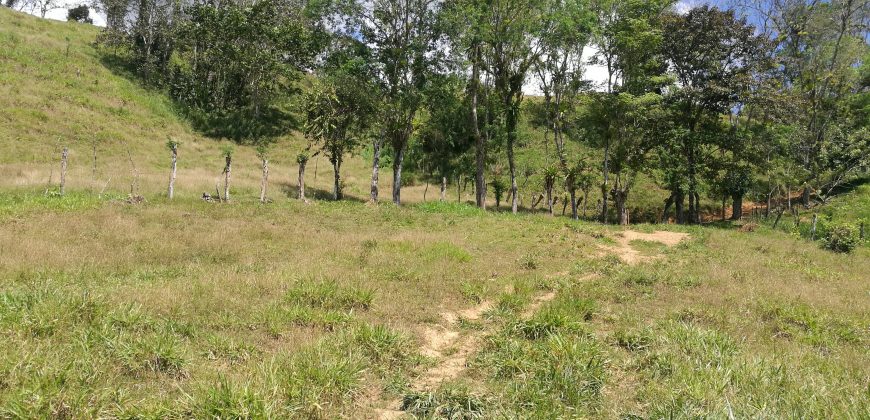 Finca de 100 hectáreas en Barú, Perez Zeledon de San José