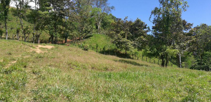 Finca de 100 hectáreas en Barú, Perez Zeledon de San José