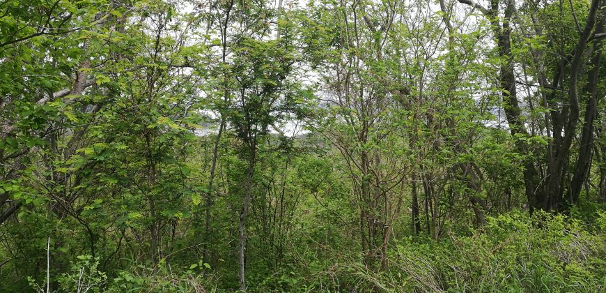 Finca de 19,8 hectáreas en la Cruz de Guanacaste
