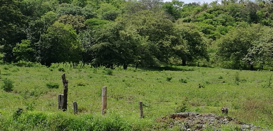 Finca de 19,8 hectáreas en la Cruz de Guanacaste