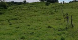 Finca de 23 hectáreas en Tinoco, Palmar,Osa, Puntarenas