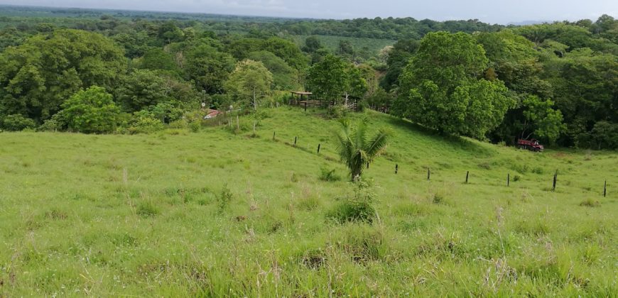 Finca de 23 hectáreas en Tinoco, Palmar,Osa, Puntarenas