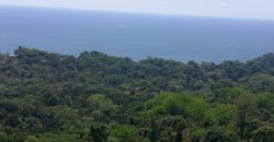 Finca de 27,7 hectáreas, Bajo las Bonitas, Bahía Ballena, Osa de Puntarenas.