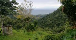 21 hectáreas, Bajo las Bonitas, Bahía Ballena,Osa, Puntarenas