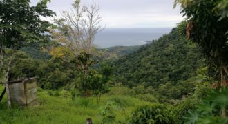 21 hectáreas, Bajo las Bonitas, Bahía Ballena,Osa, Puntarenas