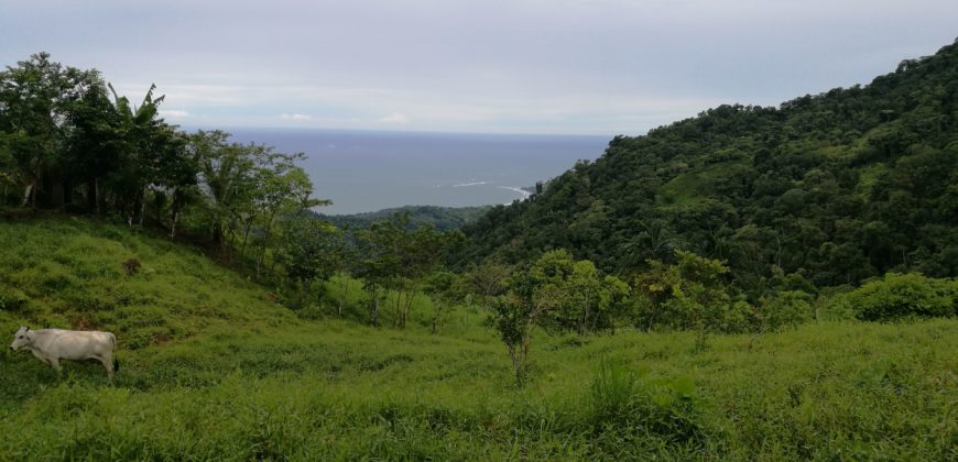 Finca de 27,7 hectáreas, Bajo las Bonitas, Bahía Ballena, Osa de Puntarenas.