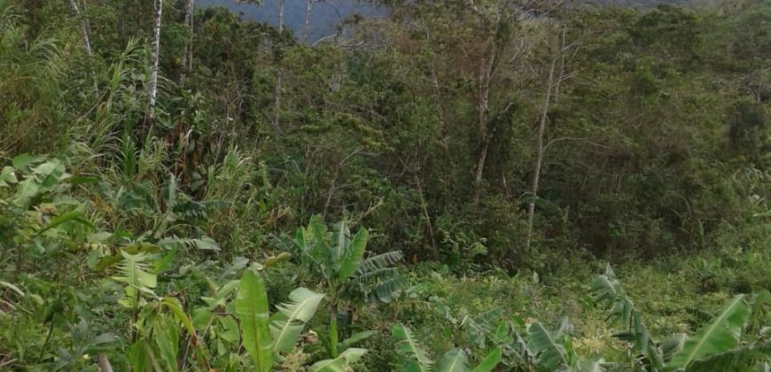 Finca de 30 hectáreas en san Ramón de Alajuela