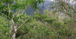 Finca de 30 hectáreas en san Ramón de Alajuela