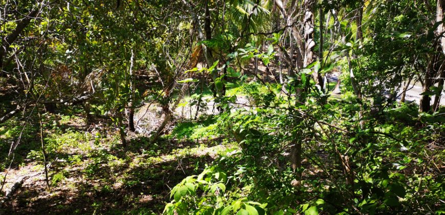 Se  vende 10 hectáreas en la Isla Cedro, Paquera, de Puntarenas