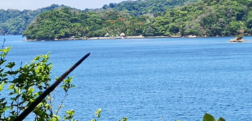 Se  vende 10 hectáreas en la Isla Cedro, Paquera, de Puntarenas