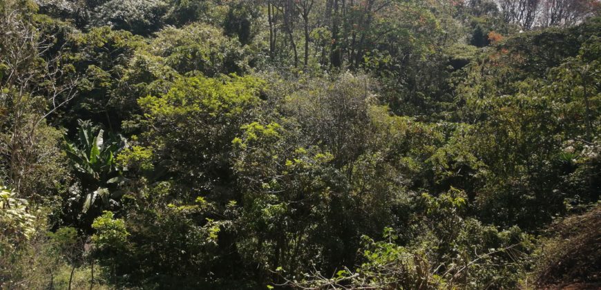 Finca de 3,6192 metros cuadrado situado en las Quebradas de Sto Domingo de Heredia
