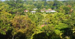 Finca de 5.8 hectareas, Uvita, Bahia, Ballena, Osa, Puntarenas