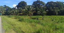 Finca de 5.8 hectareas, Uvita, Bahia, Ballena, Osa, Puntarenas
